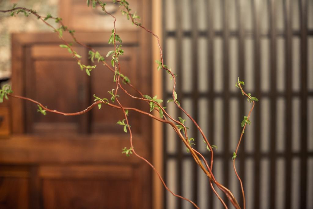 Willa Araiya Tokyo -Private Townhouse- Zewnętrze zdjęcie